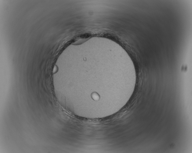 X0000111621249200908141310