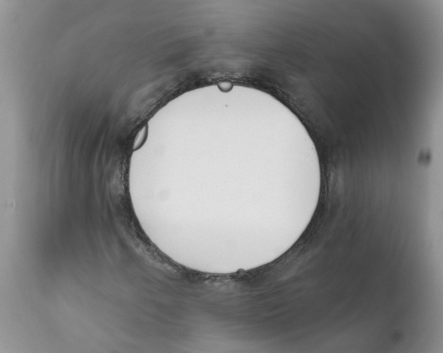 X0000111621250200908141310