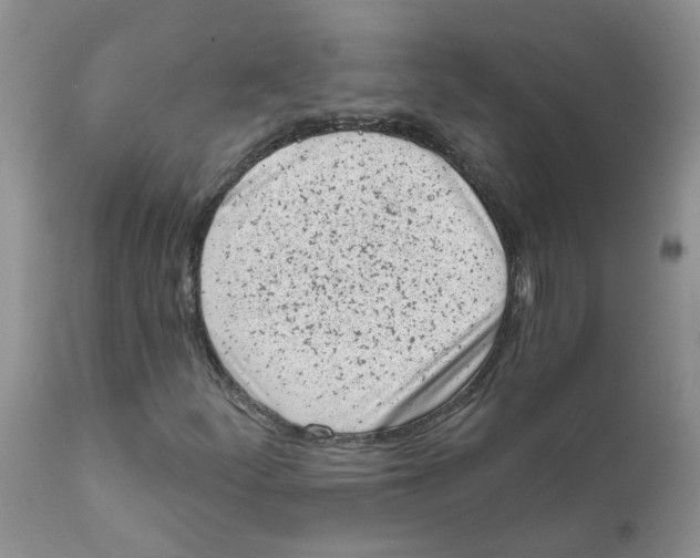 X0000111621252200908141310