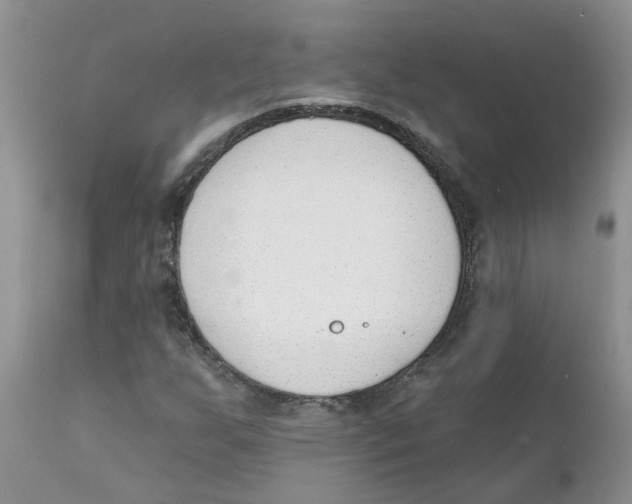 X0000111621255200908141309