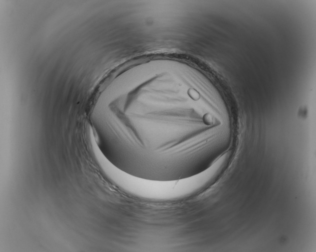 X0000111621257200908141309