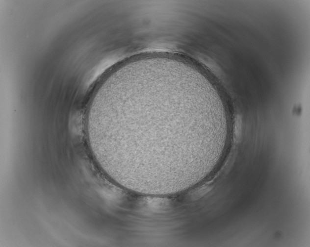 X0000111621258200908141309