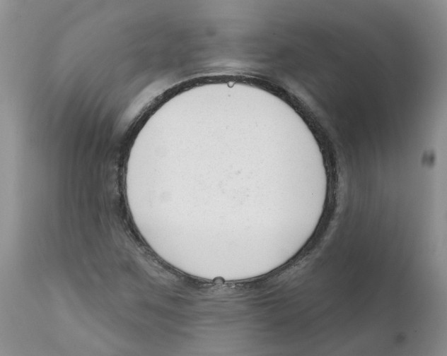 X0000111621259200908141309