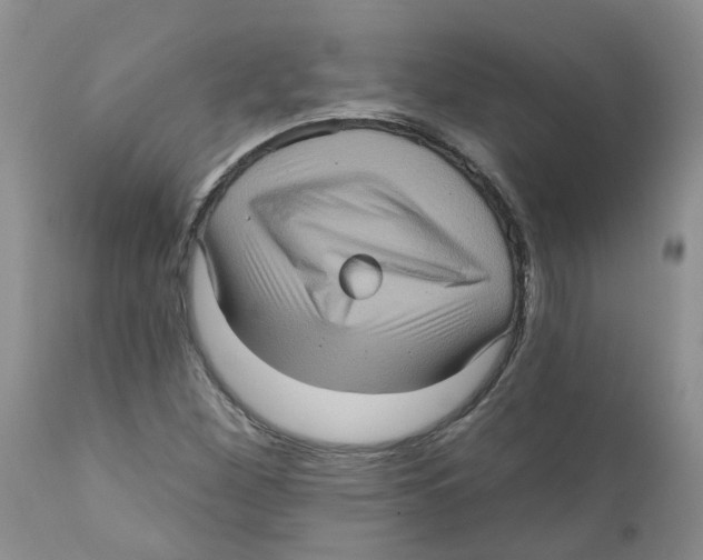 X0000111621260200908141309