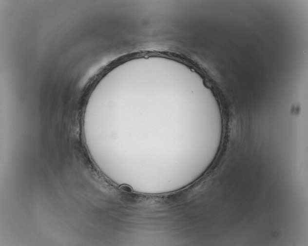 X0000111621262200908141309