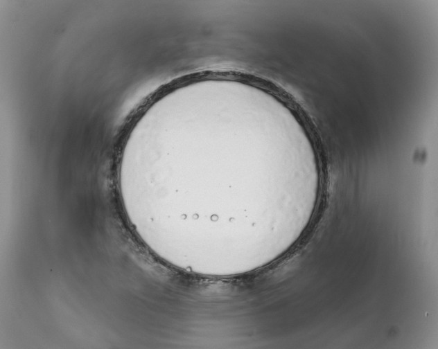 X0000111621263200908141309