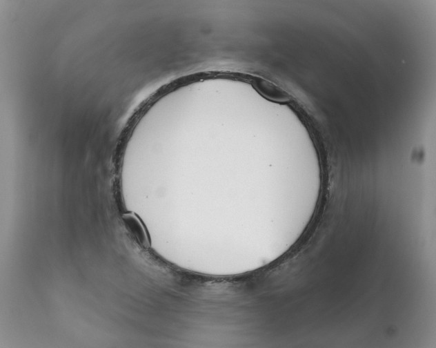 X0000111621264200908141309