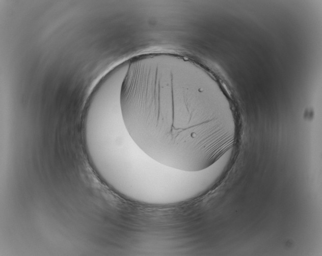 X0000111621268200908141309