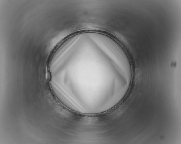 X0000111621269200908141309