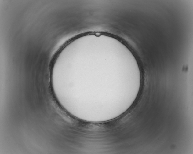 X0000111621270200908141309