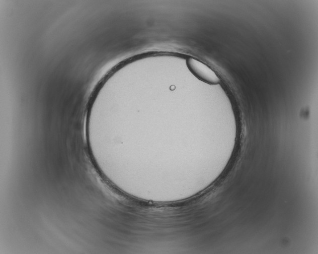 X0000111621272200908141309