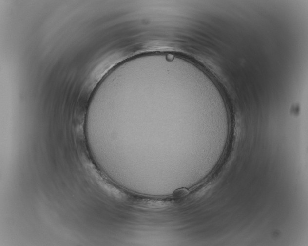 X0000111621273200908141309