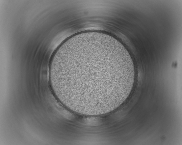 X0000111621274200908141309