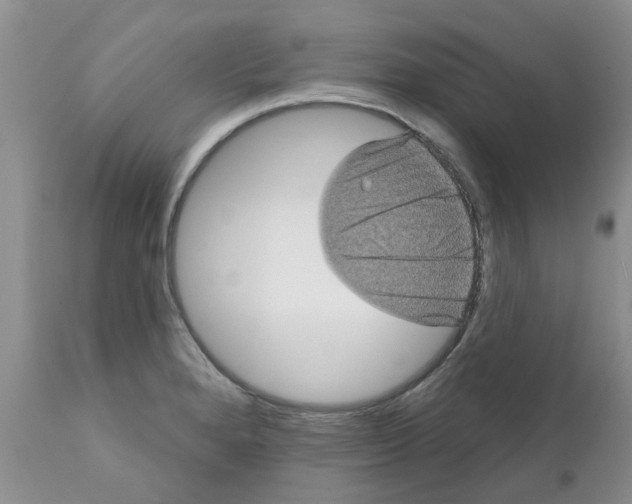 X0000111621280200908141309