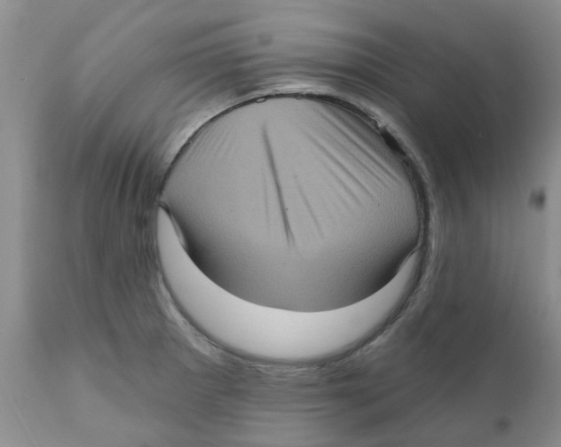 X0000111621281200908141309