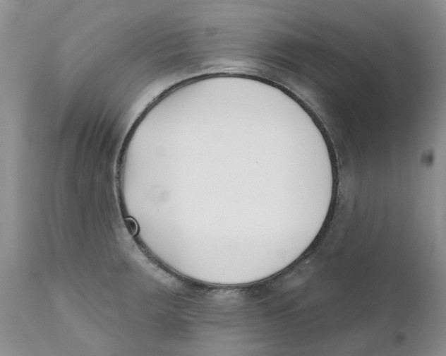 X0000111621283200908141309