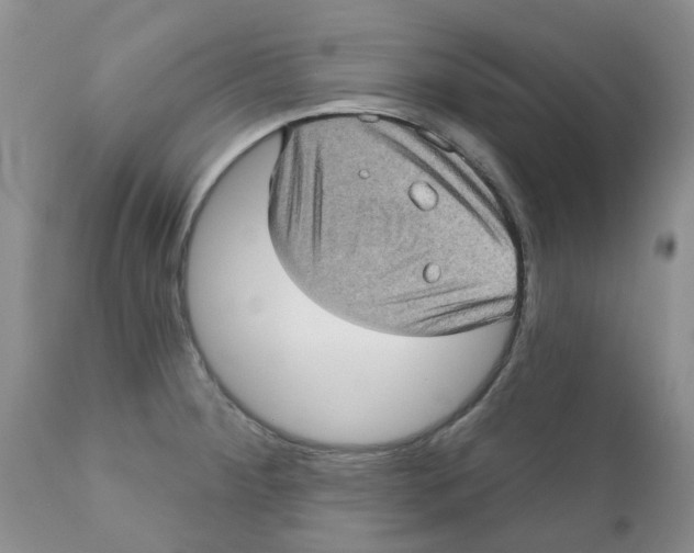 X0000111621284200908141309