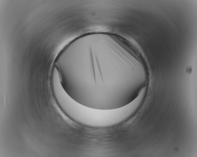 X0000111621285200908141309