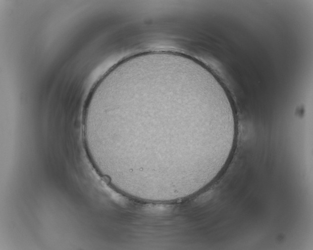 X0000111621286200908141309