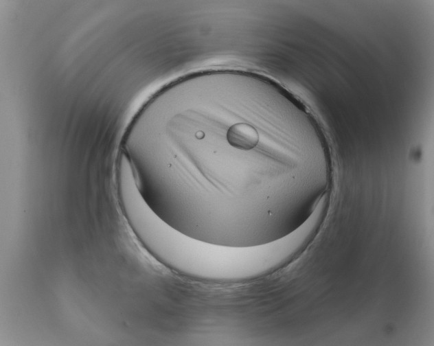 X0000111621288200908141309