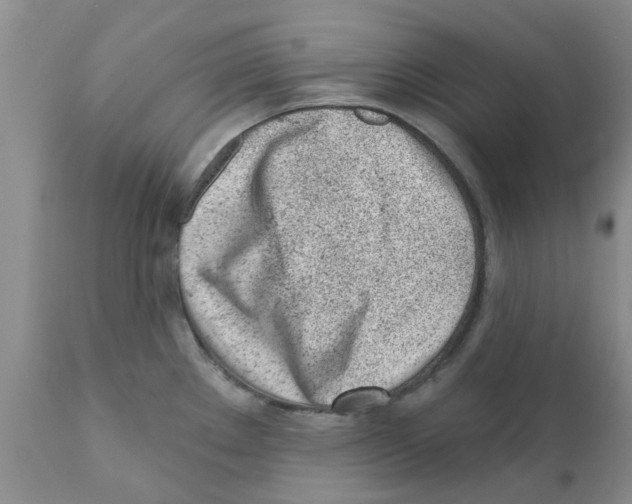 X0000111621289200908141309