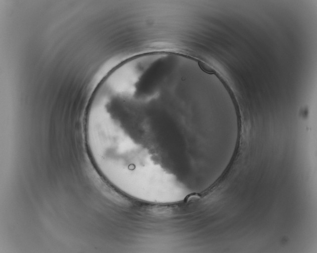 X0000111621291200908141309