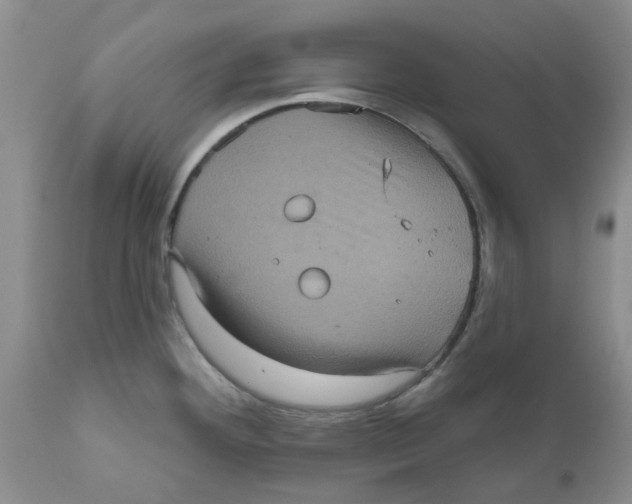 X0000111621292200908141309