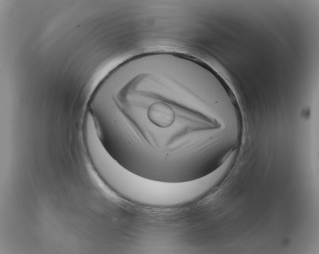 X0000111621293200908141309