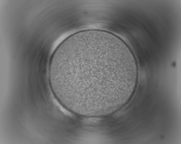 X0000111621294200908141309