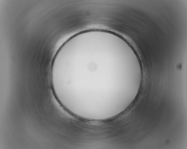 X0000111621295200908141309