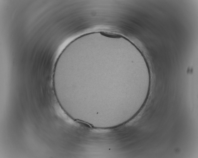 X0000111621296200908141309