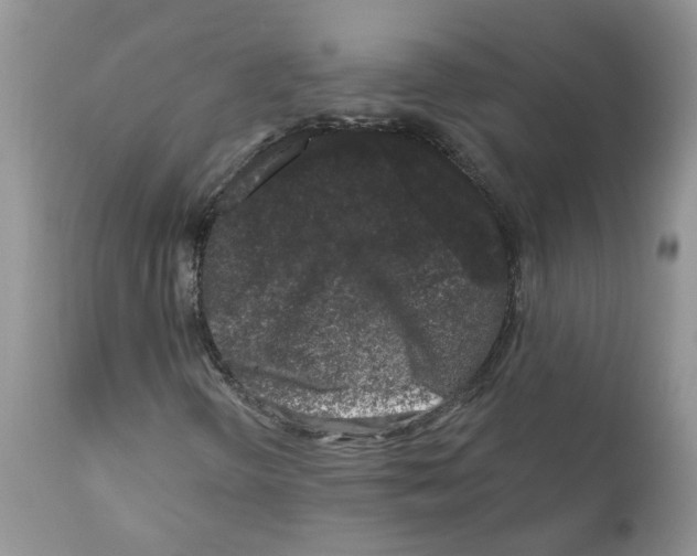 X0000111621298200908141308