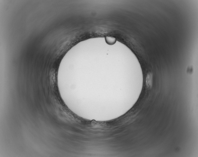 X0000111621299200908141308