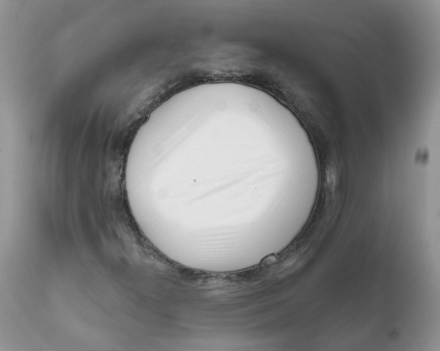 X0000111621300200908141308