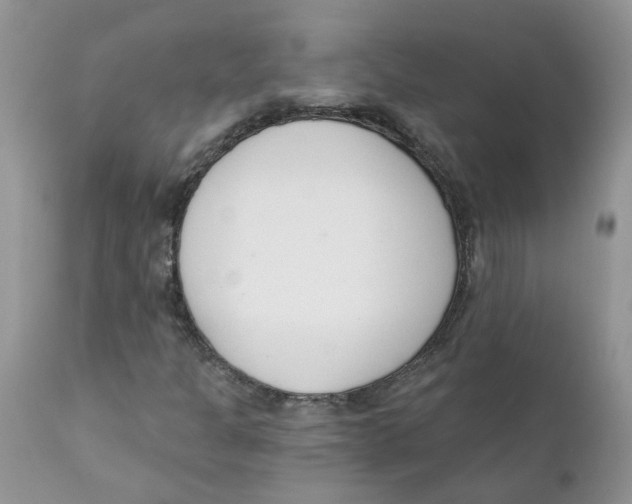 X0000111621301200908141308