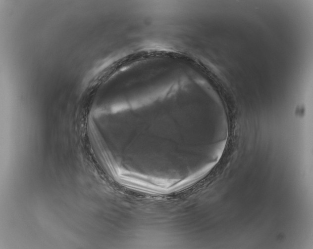 X0000111621303200908141308