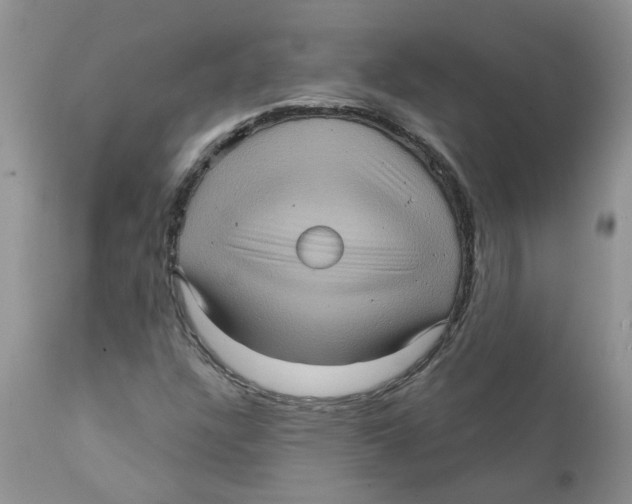 X0000111621304200908141308