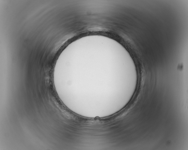 X0000111621305200908141308