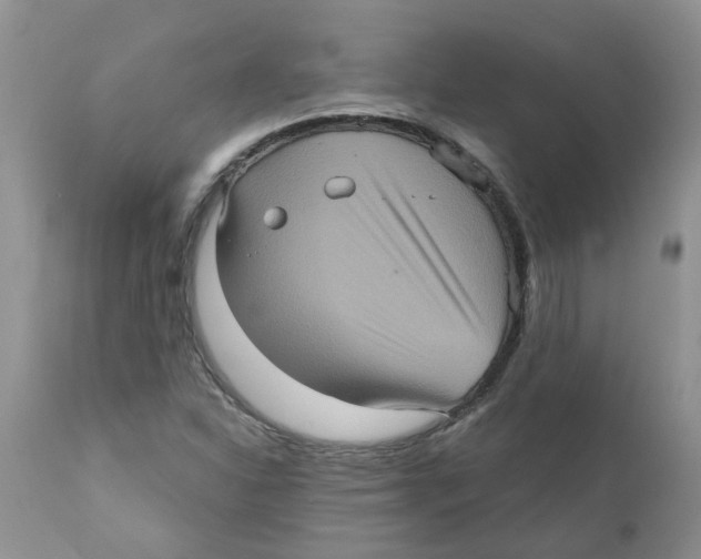 X0000111621310200908141308