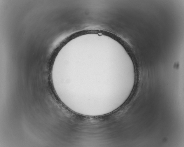 X0000111621311200908141308