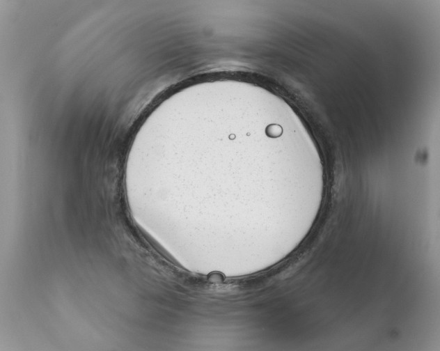 X0000111621313200908141308