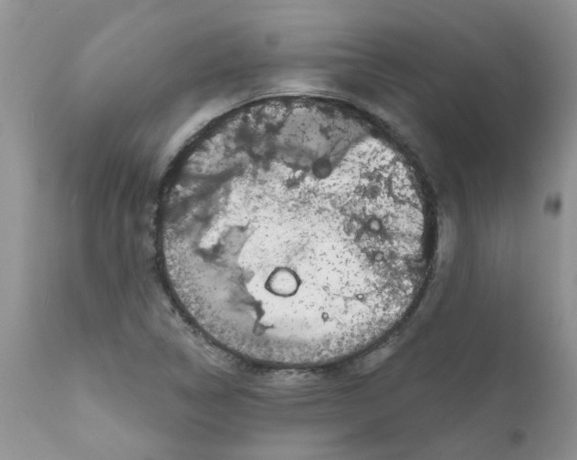 X0000111621314200908141308