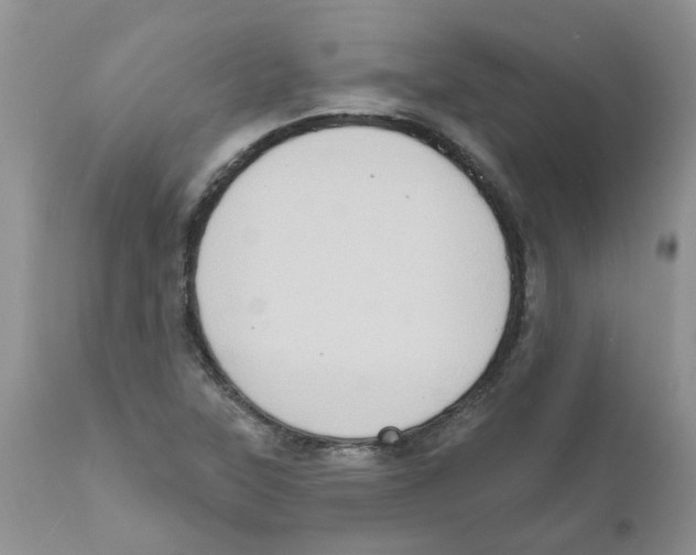 X0000111621315200908141308