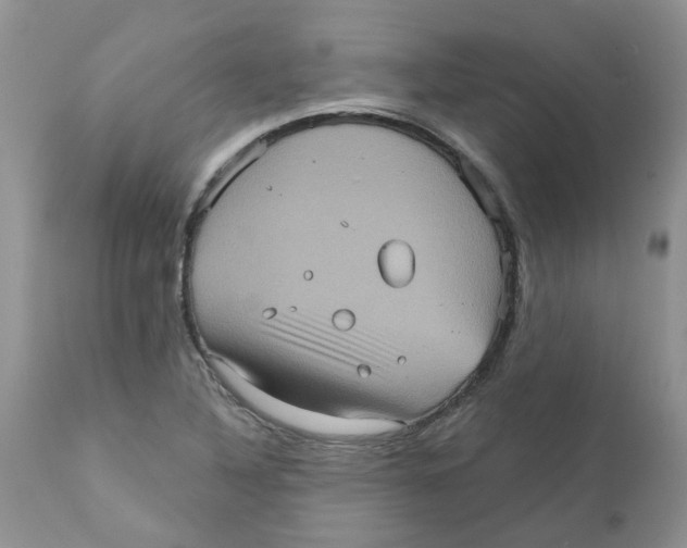 X0000111621316200908141309