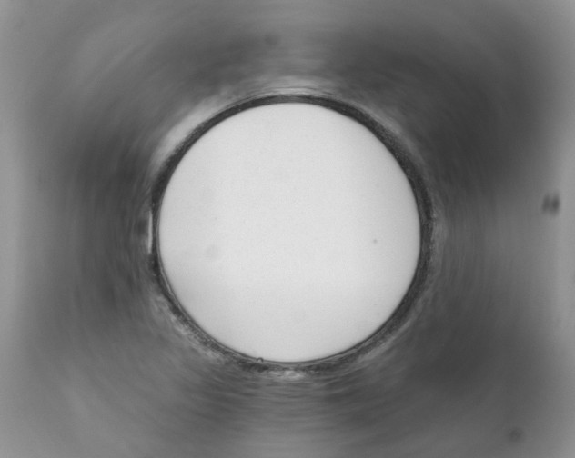 X0000111621317200908141309