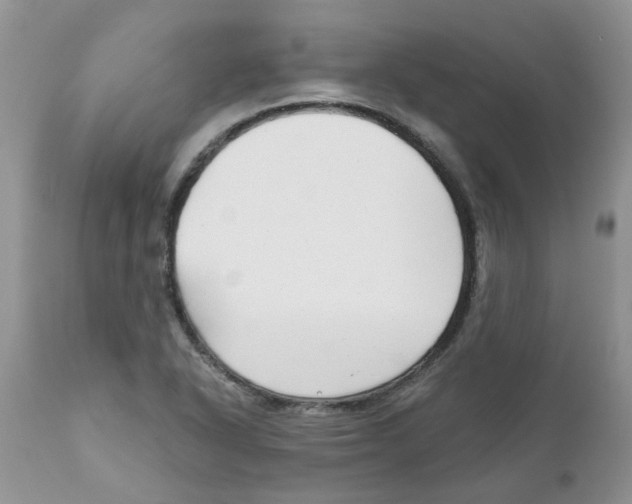 X0000111621318200908141309