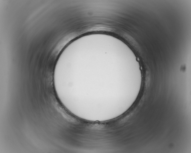 X0000111621321200908141309