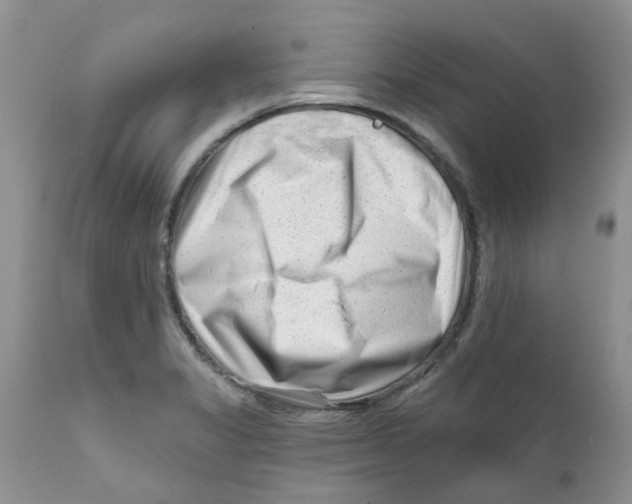 X0000111621325200908141309