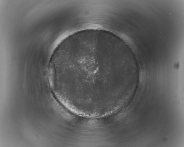 X0000111621326200908141309