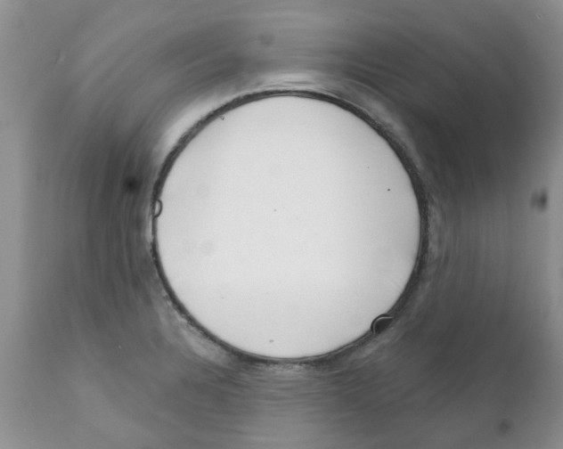 X0000111621328200908141309